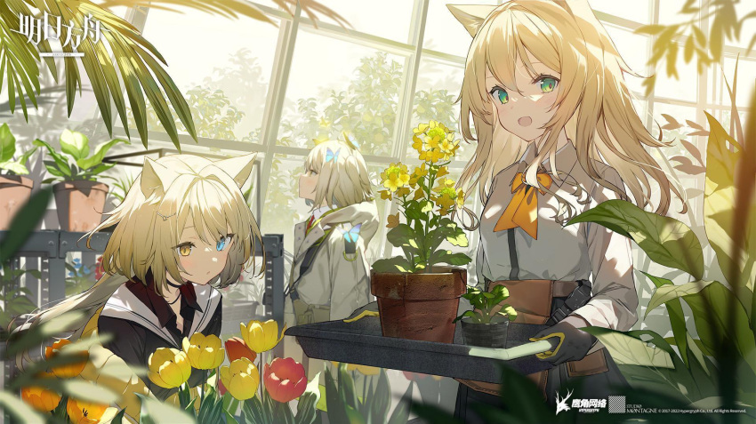 3girls :d :o animal_ear_fluff animal_ears arknights bag black_gloves black_shirt blonde_hair blue_eyes blush bow bowtie bug butterfly butterfly_on_head cat_ears collared_shirt completely_nude copyright_name cowboy_shot day dog_ears flower gloves green_eyes greenhouse hair_ornament hairclip heterochromia highres holding holding_tray hood hood_down hooded_jacket indoors jacket long_hair long_sleeves looking_at_viewer multiple_girls nightmare_(arknights) nude official_art one_side_up open_mouth orange_flower parted_lips plant podenco_(arknights) potted_plant red_flower scene_(arknights) shirt short_hair shoulder_bag smile sunlight sutorora tray tulip very_long_hair white_jacket white_shirt wing_collar yellow_bow yellow_bowtie yellow_eyes yellow_flower