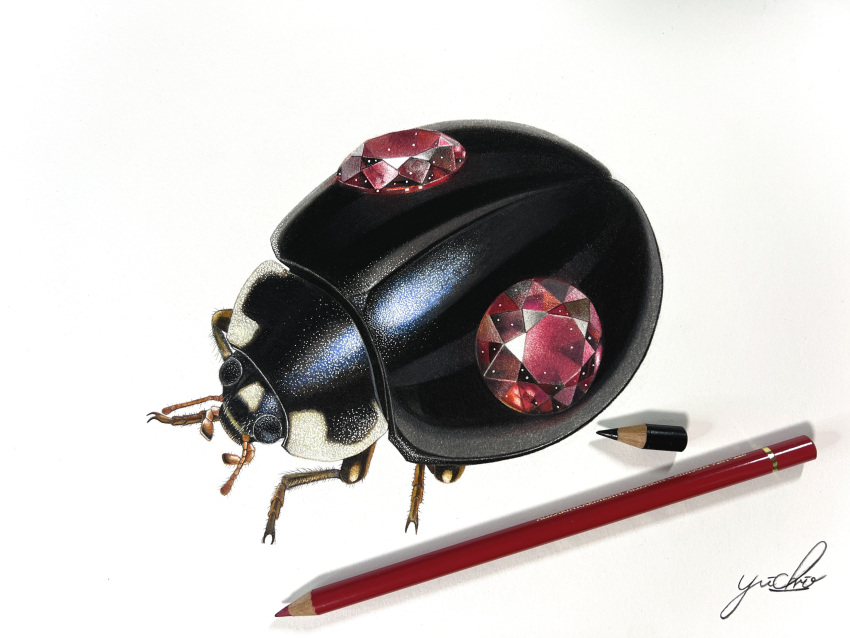 abe_yuichiro absurdres animal_focus artist_name beetle black_eyes bug colored_pencil_(medium) commentary_request crystal from_above full_body gem highres no_humans original pencil red_gemstone shiny signature simple_background traditional_media white_background