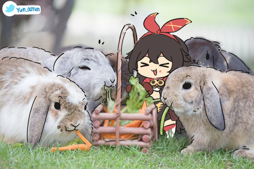 &gt;_&lt; 1girl :d amber_(genshin_impact) bangs brown_hair carrot chibi commentary_request eating eyebrows_visible_through_hair food genshin_impact hair_between_eyes hairband highres long_hair looking_at_viewer ooyun photo_background rabbit sidelocks smile twitter_username vegetable xd