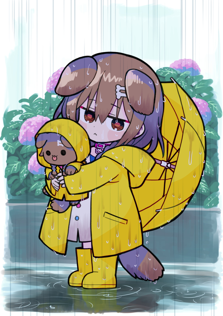 1girl :&lt; animal animal_collar animal_ears bone_hair_ornament boots brown_eyes brown_hair collar commentary dog dog_ears dog_girl dog_tail ear_down eyebrows_visible_through_hair flower full_body hair_between_eyes hair_ornament highres holding holding_animal hololive inugami_korone inugami_korone_(dog) leaf looking_at_viewer outdoors pink_collar rain raincoat sabaku_chitai sidelocks simple_background standing tail tongue tongue_out umbrella virtual_youtuber wet wet_clothes wet_floor white_background yellow_footwear yellow_raincoat yellow_umbrella