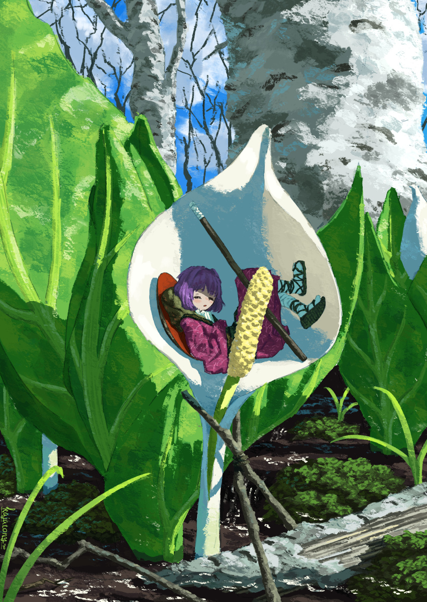 absurdres birch bowl bowl_hat calla_lily clouds commentary_request flower gladiator_sandals hat hat_removed headwear_removed highres japanese_clothes kajatony kimono minigirl moss on_flower outdoors purple_hair sandals short_hair sky sleeping sukuna_shinmyoumaru tabi touhou
