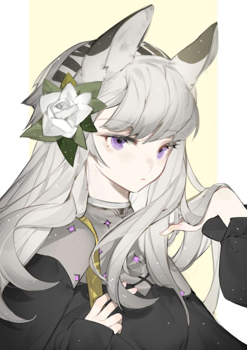 1girl absurdres animal_ear_fluff animal_ears arknights bangs black_dress brown_background closed_mouth commentary_request dress eyebrows_visible_through_hair flower fui_(fui29493452) grey_hair hair_flower hair_ornament hands_up heavyrain_(arknights) highres long_sleeves puffy_long_sleeves puffy_sleeves rose solo two-tone_background upper_body violet_eyes white_background white_flower white_rose zebra_ears