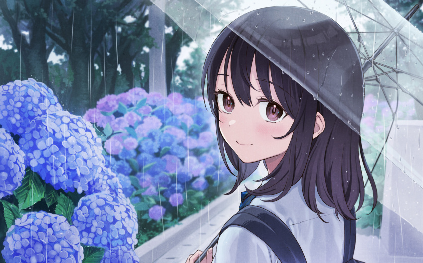 1girl absurdres backpack bag bangs black_hair blue_flower blush brown_eyes closed_mouth day eyebrows_visible_through_hair flower from_side hair_between_eyes highres holding holding_umbrella hydrangea kaya8 long_hair looking_at_viewer looking_to_the_side original outdoors pink_flower rain school_uniform shirt smile solo transparent transparent_umbrella tree umbrella upper_body white_shirt