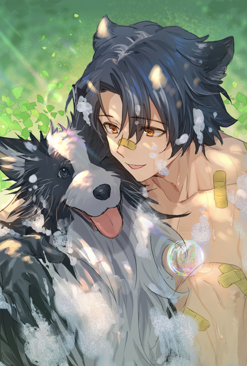 1boy affectionate animal_ears animal_hug arknights bandaid bandaid_on_face bandaid_on_nose bangs bishounen black_hair brown_eyes collarbone dog dog_boy dog_ears eyebrows_visible_through_hair feet_out_of_frame highres lalatia-meai male_focus parted_bangs short_hair smile sunlight tongue tongue_out topless_male wet windflit_(arknights)