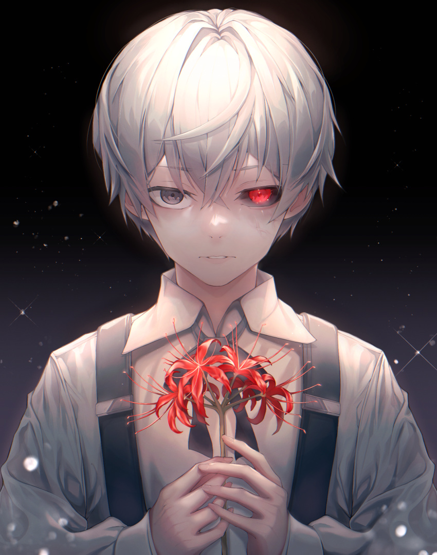 1boy bangs black_background black_bow black_bowtie bow bowtie collared_shirt flower grey_background grey_hair grey_shirt heterochromia highres holding holding_flower hydrangea kaneki_ken male_focus overalls red_eyes red_flower salm-inojaem shiny shiny_hair shirt short_hair smile tokyo_ghoul