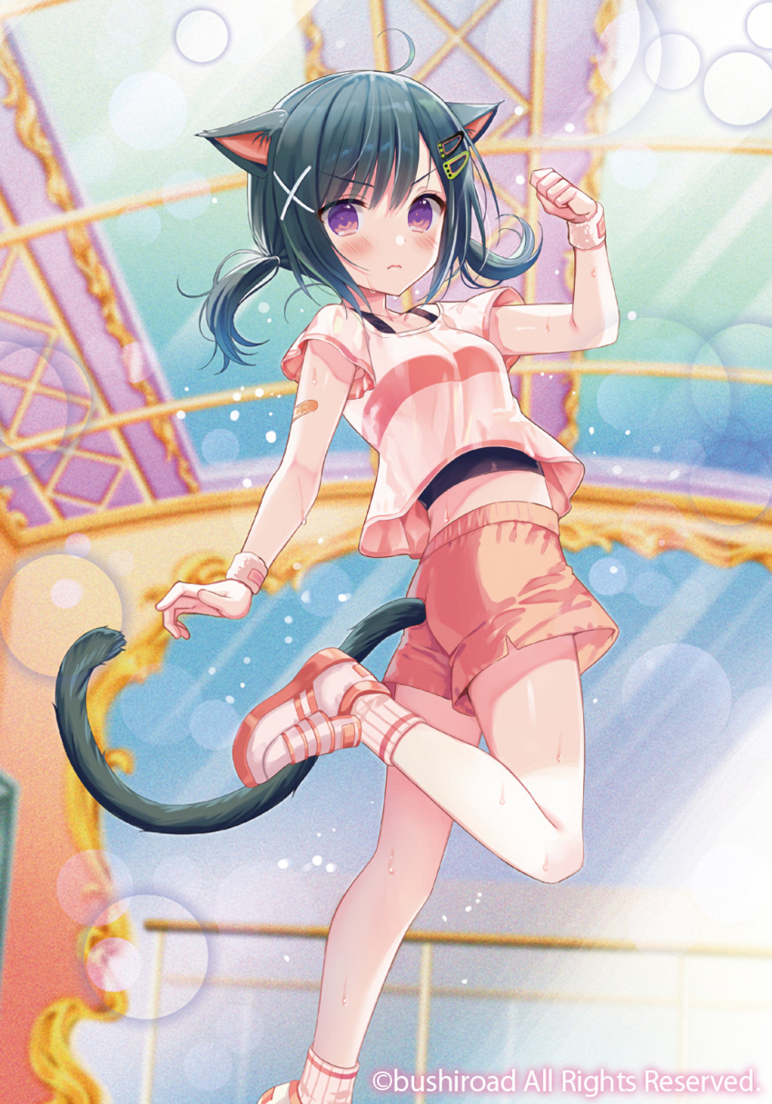 1girl ahoge animal_ears bandaid bandaid_on_arm bangs black_hair breasts brown_shorts cardfight!!_vanguard cat_ears cat_girl cat_tail character_request eyebrows_visible_through_hair feet_out_of_frame hair_ornament hairclip indoors long_hair looking_at_viewer low_twintails official_art pink_shirt purple_eyes ribbed_legwear shirt shoes short_shorts short_sleeves shorts small_breasts socks solo standing standing_on_one_leg sweat sweatband tail twintails twisted_torso v-shaped_eyebrows watermark white_footwear white_legwear wristband x_hair_ornament yuuki_rika