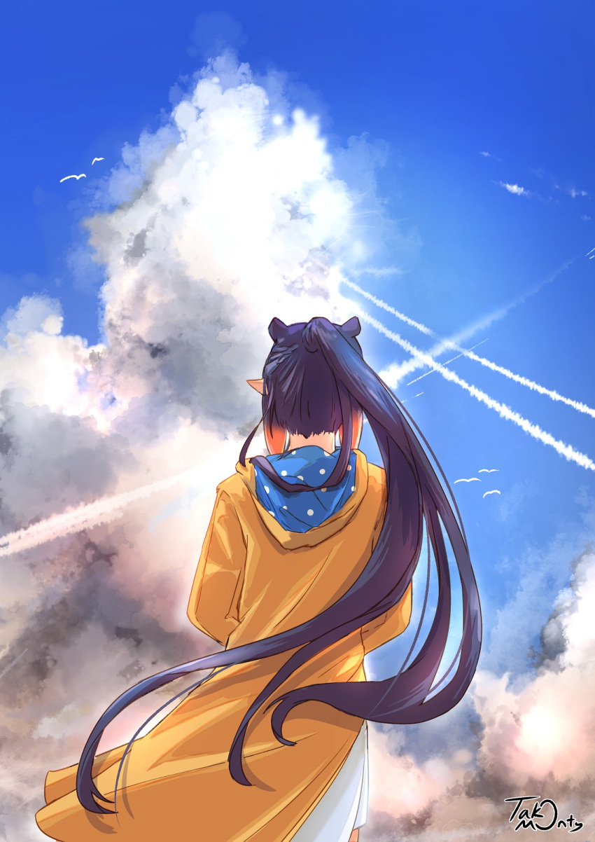 1girl clouds cloudy_sky dress from_behind highres hololive hololive_english long_hair ninomae_ina'nis ponytail purple_hair raincoat sky solo takomonty very_long_hair violet_(ninomae_ina'nis) virtual_youtuber