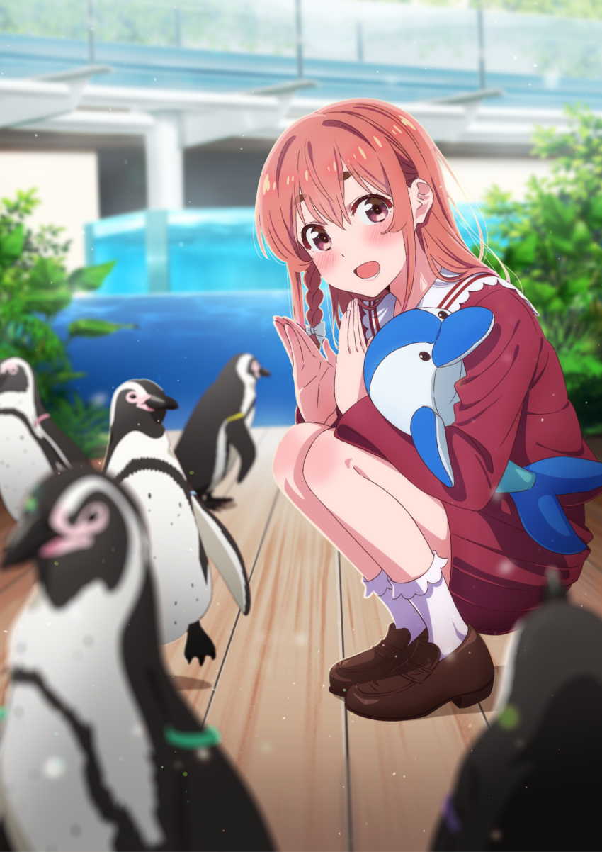 1girl :d absurdres bangs bird blurry blurry_background blurry_foreground blush bow braid brown_footwear brown_hair clapping collar eyebrows_behind_hair hair_behind_ear hair_between_eyes highres humboldt_penguin kanojo_okarishimasu long_sleeves looking_at_viewer official_art open_mouth penguin red_eyes red_skirt sakurasawa_sumi side_braid skirt smile socks solo stuffed_animal stuffed_dolphin stuffed_toy thick_eyebrows white_collar