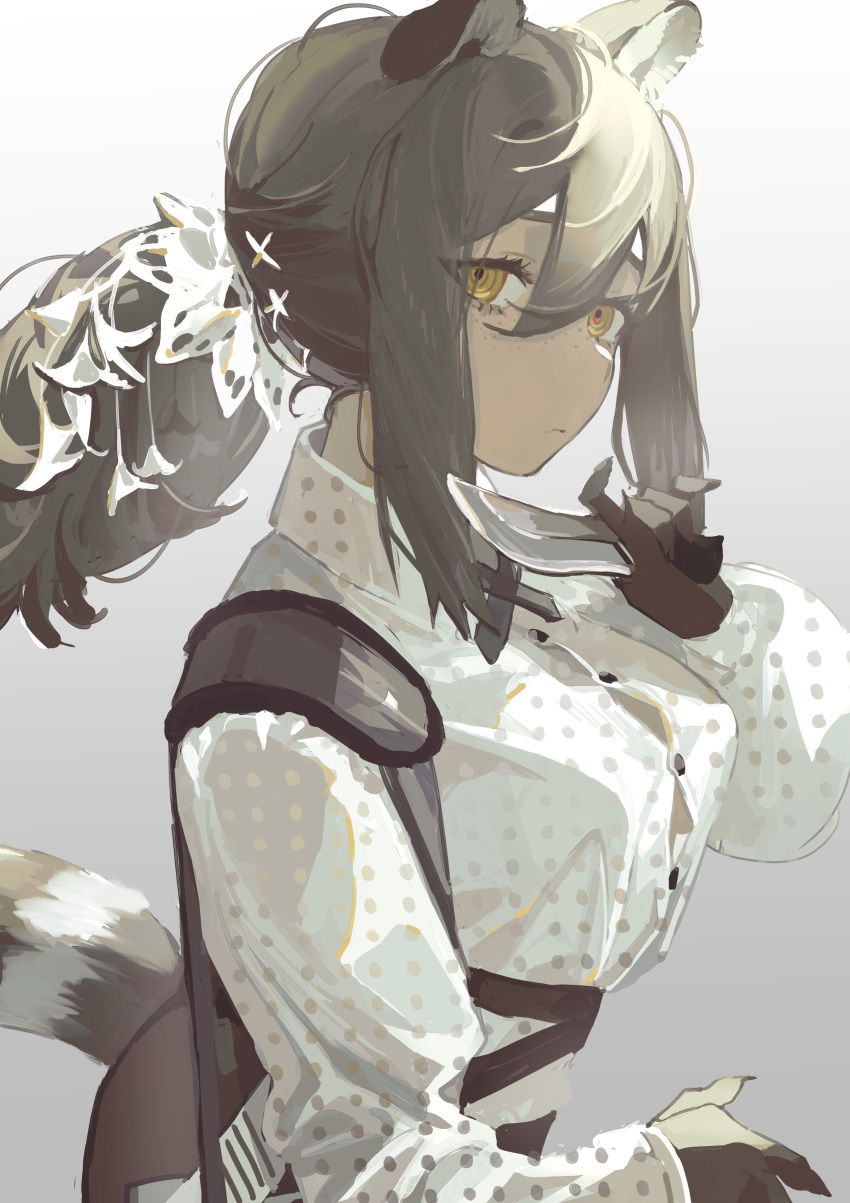 1girl absurdres animal_ears animal_hands arknights bag brown_hair buttons collared_shirt commentary_request cross_tie expressionless freckles grey_background hair_between_eyes highres holding holding_knife knife long_hair long_sleeves looking_at_viewer polka_dot polka_dot_shirt ponytail raccoon_ears raccoon_girl raccoon_tail ringed_eyes robin_(arknights) shirt shoulder_bag sidelocks sideways_glance solo tail tanuka_(tnk0150) upper_body white_shirt yellow_eyes