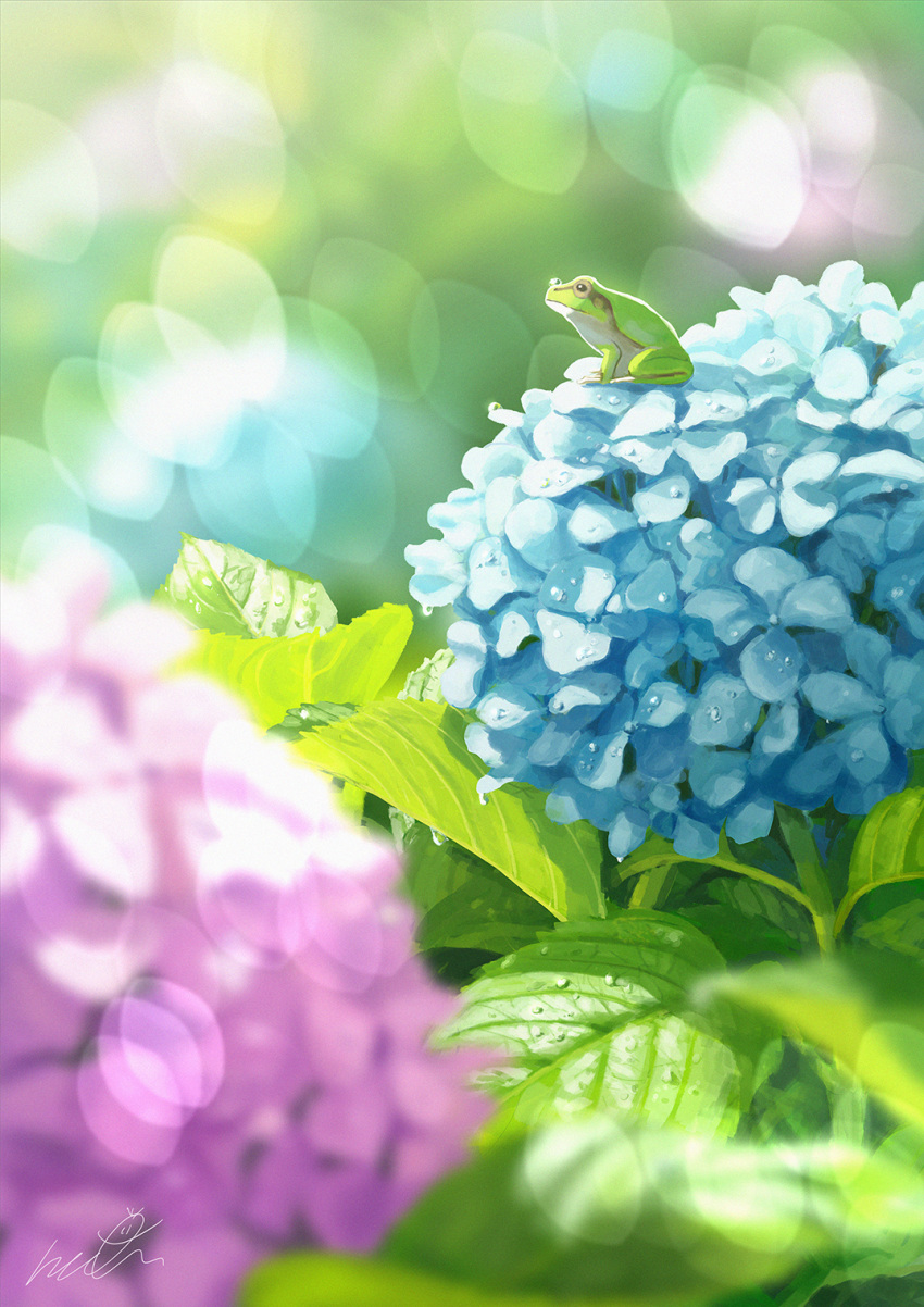 animal blue_flower blurry bokeh commentary day depth_of_field flower frog highres leaf no_humans original outdoors papi_(papiron100) signature