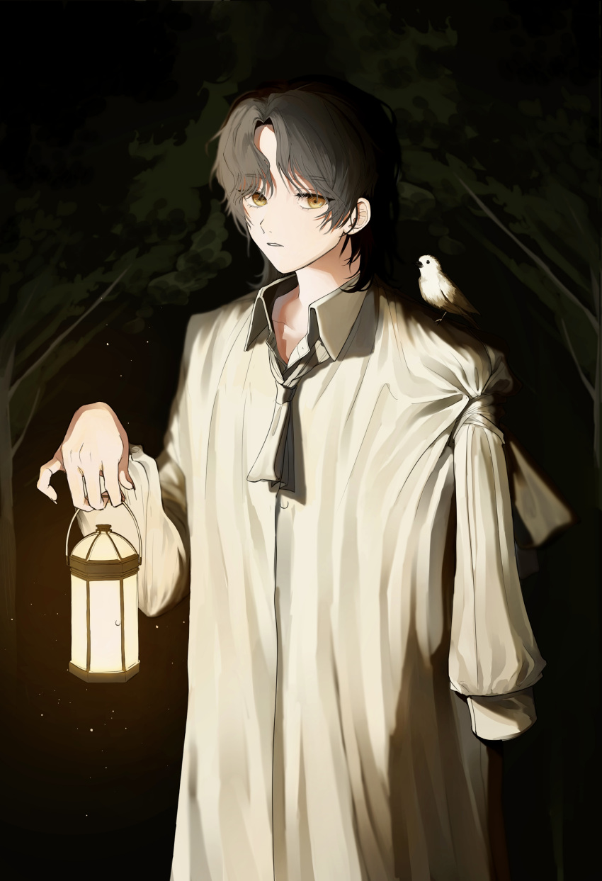 absurdres amputee animal_on_shoulder bird bird_on_shoulder black_hair brown_eyes highres holding holding_lantern lantern night nightgown original outdoors solo standing white_xxxx