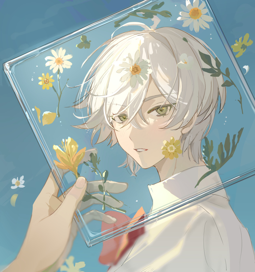 absurdres blue_background chinese_commentary colored_eyelashes commentary_request flower green_eyes highres neck_ribbon original parted_lips pilulu portrait red_ribbon ribbon shirt short_hair solo_focus white_flower white_hair yellow_flower