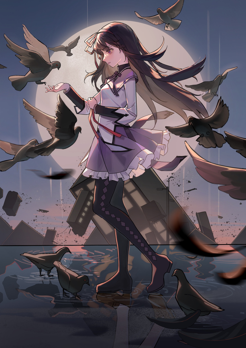 1girl 30020505 absurdres akemi_homura argyle argyle_legwear bangs bird black_footwear black_hair boots building chinese_commentary commentary_request crumbling evening expressionless falling_feathers feathers floating_hair flock frilled_skirt frills from_side full_body hairband highres holding holding_ribbon jacket long_hair looking_down mahou_shoujo_madoka_magica motion_blur neck_ribbon outdoors outstretched_arm profile purple_skirt red_hairband reflection reflective_water ribbon ripples skirt solo straight_hair thigh_boots violet_eyes walking water white_jacket
