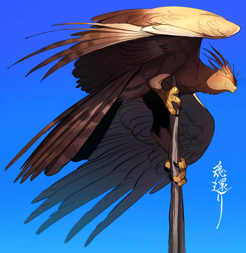1other bird bird_wings blue_background brown_feathers clear_sky closed_mouth feathers full_body highres original pole sky solo suzumori_521 talons wings