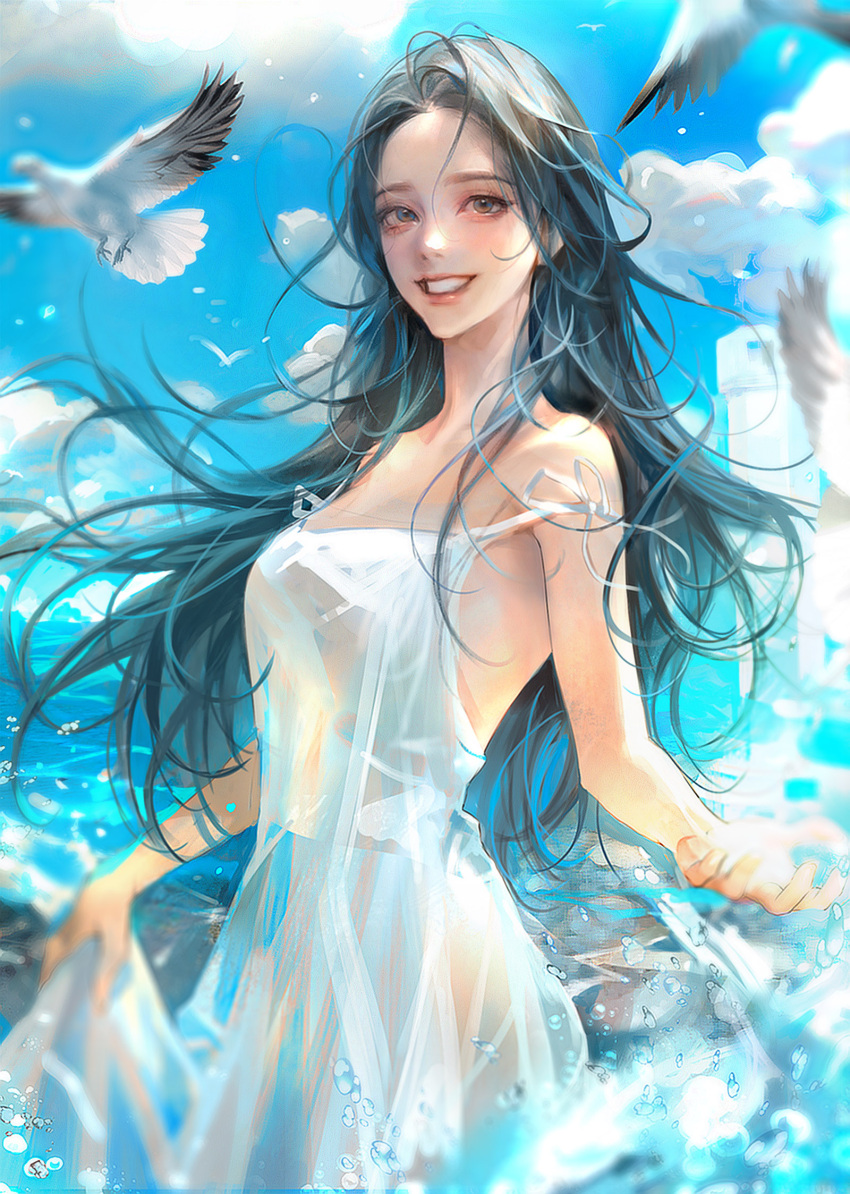 1girl bird black_eyes black_hair blurry blush bubble clothes_lift clouds cloudy_sky day ddolddo88 dress dress_lift flying highres in_water light long_dress long_hair looking_to_the_side no_sl ocean sky smile solo teeth water wet wet_clothes