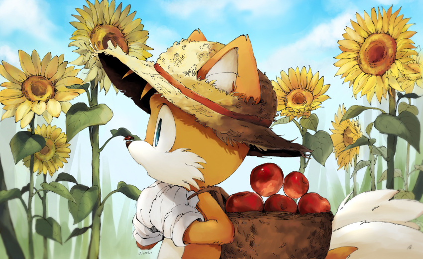 1boy blue_eyes blue_sky flower fox_boy furry furry_male hat highres isa03re looking_afar male_focus multiple_tails sky snout solo sonic_(series) straw_hat sunflower tail tails_(sonic) two_tails