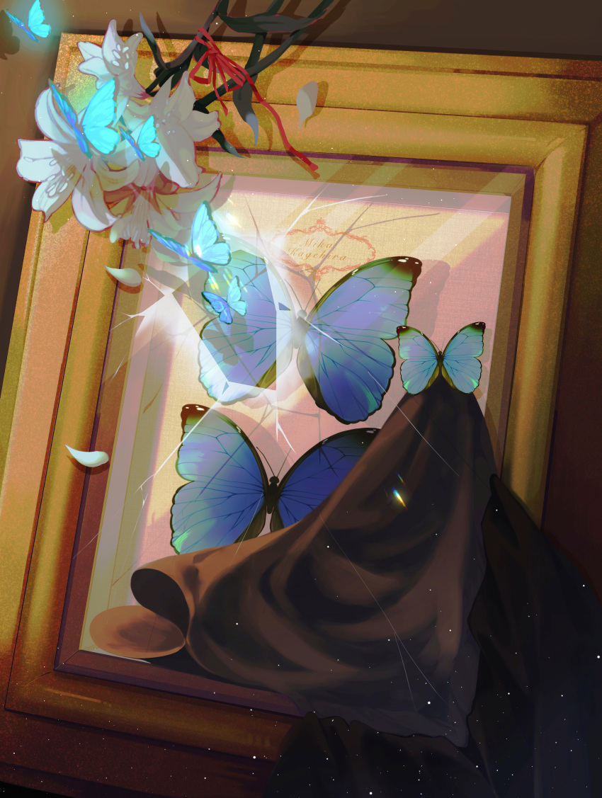 absurdres animal blue_butterfly broken_glass bug butterfly character_name cracked_glass ensemble_stars! flock flower framed_insect glass highres insect_collection kekekkbk light_particles lily_(flower) no_humans petals picture_frame red_ribbon ribbon white_flower