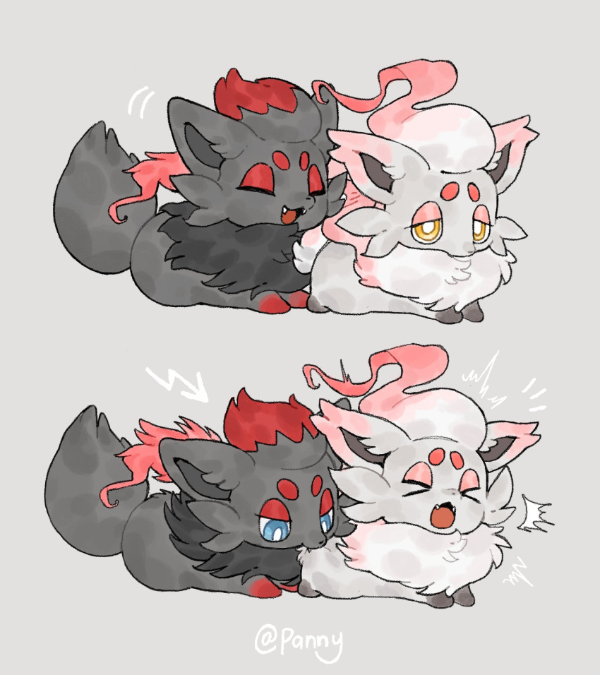 >_< biting blue_eyes bright_pupils chinese_commentary closed_eyes commentary_request fangs half-closed_eyes highres hisuian_zorua lying meme no_humans open_mouth pain pani_5750 pokemon pokemon_(creature) pokemon_focus regional_and_normal simple_background twitter_username white_pupils yellow_eyes zorua