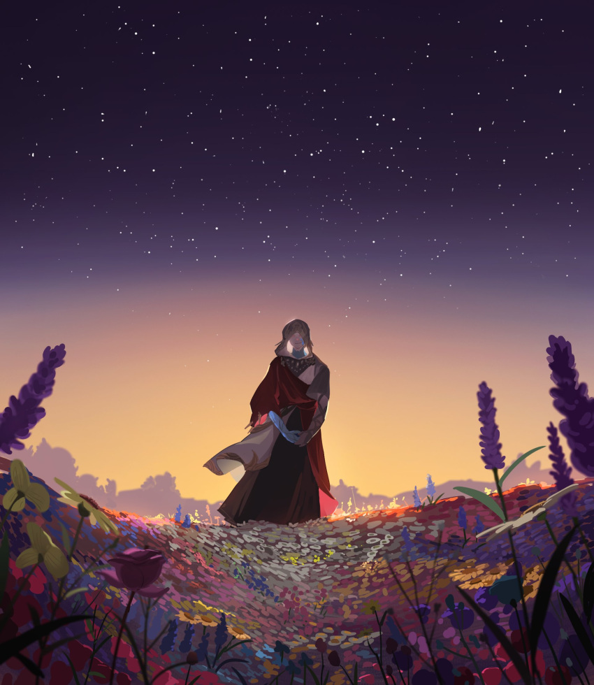 1boy black_robe commentary_request covered_eyes crystal crystal_exarch crystallization field final_fantasy final_fantasy_xiv flower flower_field gradient_sky highres hood hood_up korean_commentary lilac meadow outdoors own_hands_together pleasebemine00 scenery sky smile solo standing star_(sky) starry_sky sunset tulip wide_shot wide_sleeves