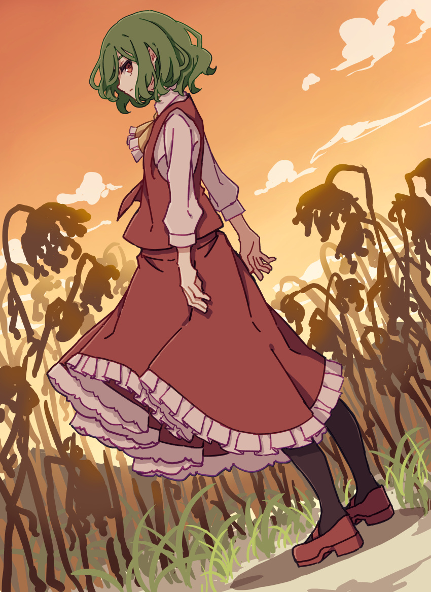 1girl absurdres ascot bangs brown_flower brown_pantyhose closed_mouth clouds cloudy_sky collared_shirt commentary_request flower frilled_skirt frills from_side full_body gradient gradient_sky grass green_hair grey_shirt ground hair_between_eyes highres kame_(kamepan44231) kazami_yuuka long_sleeves looking_at_viewer open_clothes open_vest orange_sky pantyhose puffy_long_sleeves puffy_sleeves red_eyes red_footwear red_skirt red_vest shadow shirt shoes short_hair skirt sky solo standing sunset touhou vest yellow_ascot yellow_sky