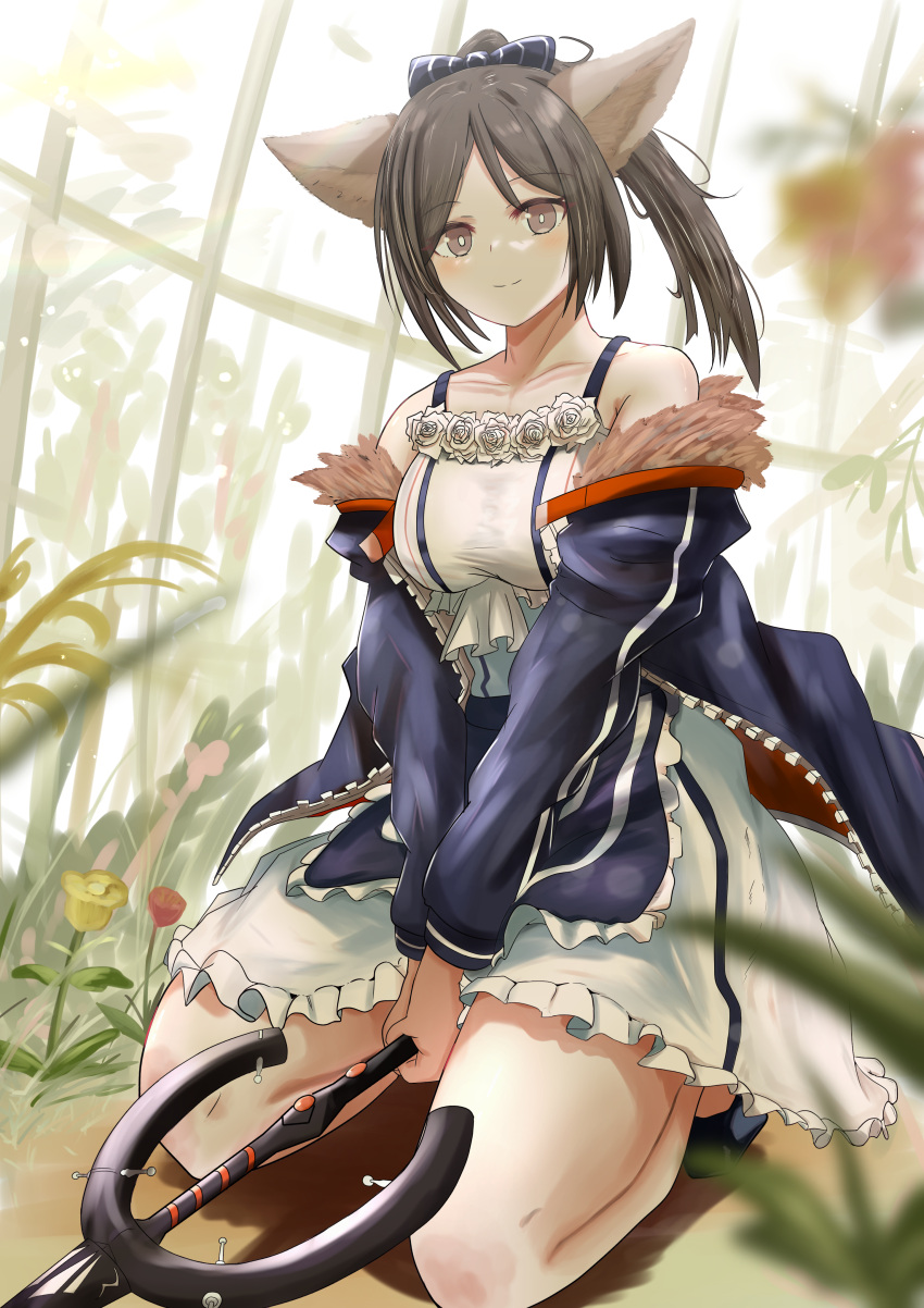 1girl absurdres animal_ears arknights bow brown_eyes brown_hair commentary fennec_fox flower flower_ornament fox_ears frilled_jacket frilled_skirt frills fur-trimmed_jacket fur_trim greenhouse hair_bow highres holding holding_staff jacket kneeling off_shoulder perfumer_(arknights) plant ponytail rose skirt sora_mame_(princess_0sora) staff