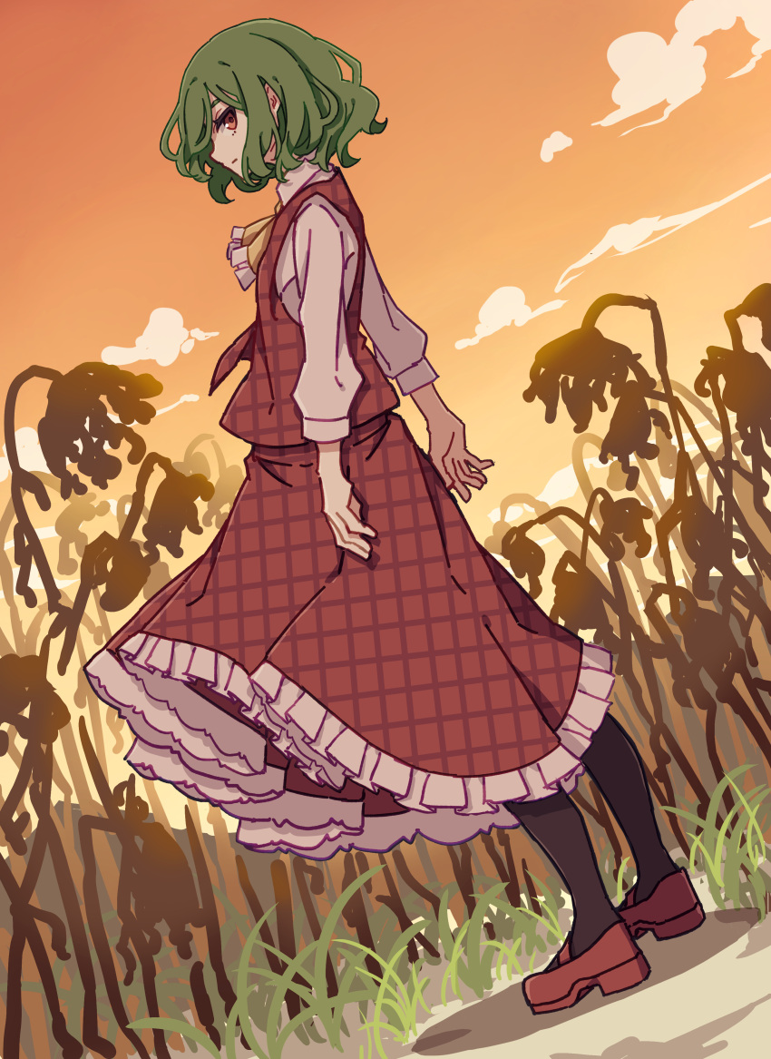1girl absurdres ascot bangs brown_flower brown_pantyhose closed_mouth clouds cloudy_sky collared_shirt commentary_request flower frilled_skirt frills from_side full_body gradient gradient_sky grass green_hair grey_shirt ground hair_between_eyes highres kame_(kamepan44231) kazami_yuuka long_sleeves looking_at_viewer open_clothes open_vest orange_sky pantyhose plaid plaid_skirt plaid_vest puffy_long_sleeves puffy_sleeves red_eyes red_footwear red_skirt red_vest shadow shirt shoes short_hair skirt sky solo standing sunset touhou vest white_shirt yellow_ascot yellow_sky