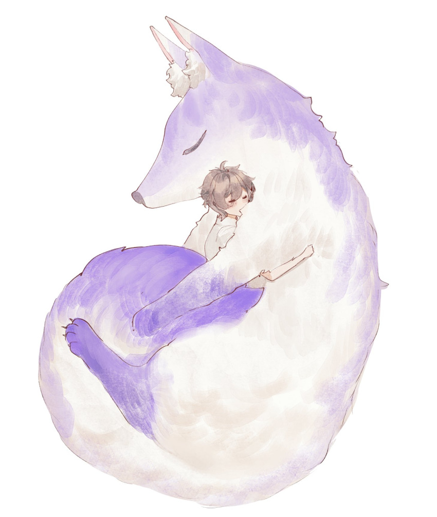 1boy animal_ear_fluff animal_hug animalization bangs brown_hair closed_eyes collared_shirt covered_mouth eiden_(nu_carnival) fox from_side highres hug kuya_(nu_carnival) male_focus nu_carnival purple_theme sad_adrian shirt short_hair simple_background sleeping white_background white_shirt