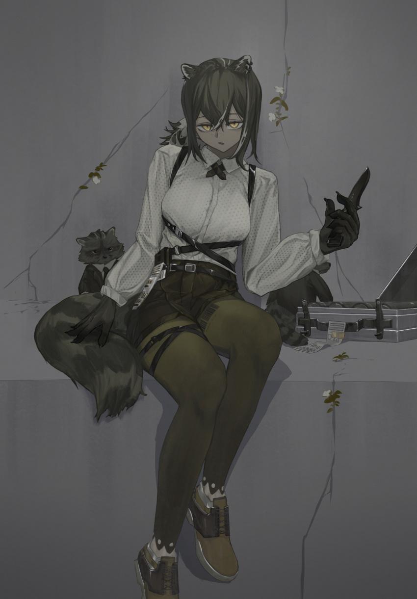 absurdres animal animal_ears arknights belt black_hair black_skin breasts brown_footwear brown_leggings brown_shorts clothed_animal collared_shirt colored_skin cracked_wall highres holding holding_knife knife leggings long_hair long_sleeves looking_at_viewer medium_breasts multicolored_hair okishido_(oxido32) open_mouth pale_skin ponytail raccoon raccoon_ears raccoon_girl raccoon_tail robin_(arknights) shirt shoes shorts sitting streaked_hair suitcase tail two-tone_hair white_shirt yellow_eyes