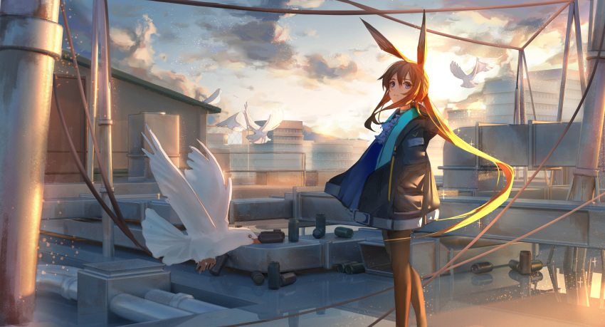 1girl absurdres amiya_(arknights) animal_ears arknights ascot bird black_jacket black_pantyhose blue_ascot blue_collar blue_eyes blue_sky brown_hair can clouds cloudy_sky collar commentary feet_out_of_frame hair_between_eyes hands_in_pockets highres industrial_pipe inkrua jacket jewelry long_hair long_sleeves looking_at_viewer neck_ring open_clothes open_jacket outdoors pantyhose ponytail rabbit_ears rabbit_girl rooftop scenery sidelocks sky smile solo standing sunset white_bird wire