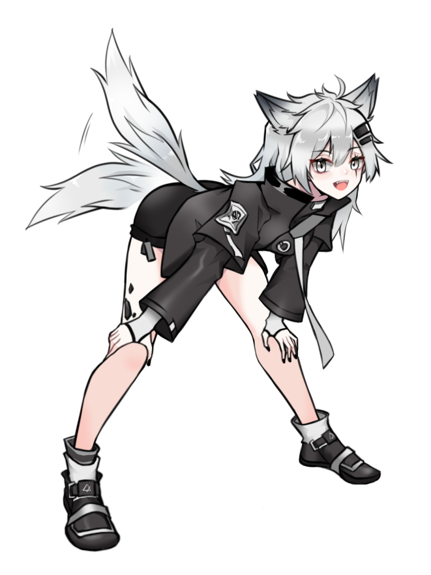 1girl :d animal_ears arknights bangs black_footwear black_jacket black_nails black_shorts fingerless_gloves gloves grey_eyes grey_hair highres jacket lappland_(arknights) leaning_forward long_hair long_sleeves looking_at_viewer nail_polish scar scar_across_eye shorts simple_background smile solo standing tail tail_wagging white_background white_gloves wl217_(nicexa111) wolf_ears wolf_girl wolf_tail