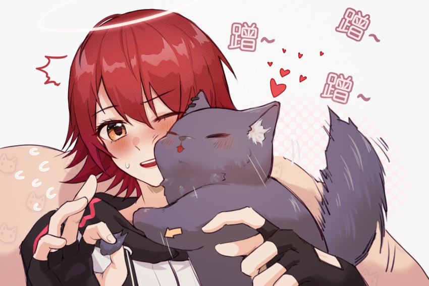 ! +++ 1girl ^_^ animal animal_hug animalization arknights banye_bu_shuijiao_pa_qilai_hua_hua black_gloves blush closed_eyes ear_piercing earclip exusiai_(arknights) fingerless_gloves gloves heart holding jacket one_eye_closed open_mouth piercing redhead short_hair simple_background sitting sound_effects sweatdrop tail tail_wagging teeth texas_(arknights) tongue tongue_out upper_teeth white_background white_jacket wolf yellow_eyes