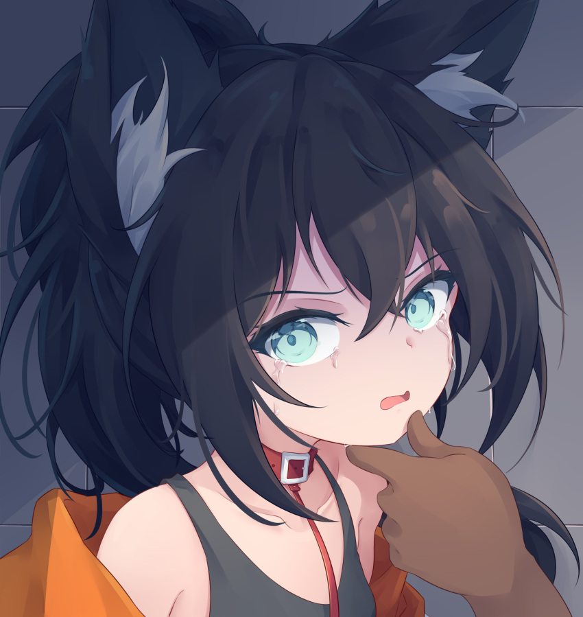 1girl absurdres animal_collar animal_ears bare_shoulders black_hair black_tank_top blue_eyes collar crying crying_with_eyes_open grabbing_another's_chin hand_on_another's_chin highres looking_at_viewer off_shoulder original ponytail tank_top tears trimbil