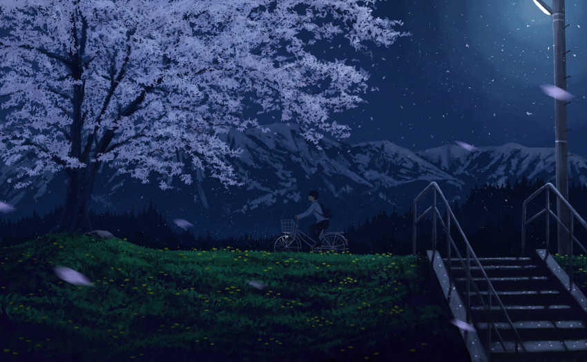 1boy bicycle cherry_blossoms commentary_request gensuke_(ryun) grass ground_vehicle highres ladder lamppost mountain night night_sky original outdoors riding riding_bicycle scenery sky solo tree utility_pole wide_shot