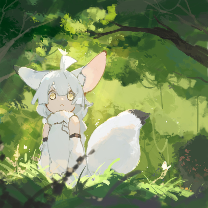 1girl ahoge animal_ear_fluff animal_ears bangs bare_shoulders braid bug butterfly butterfly_on_hair butterfly_on_head code009 day detached_sleeves dress forest fox_ears fox_girl fox_tail frown fur_trim grey_hair highres long_hair nature original outdoors plant sidelocks solo sunlight tail vines white_dress white_hair yellow_eyes