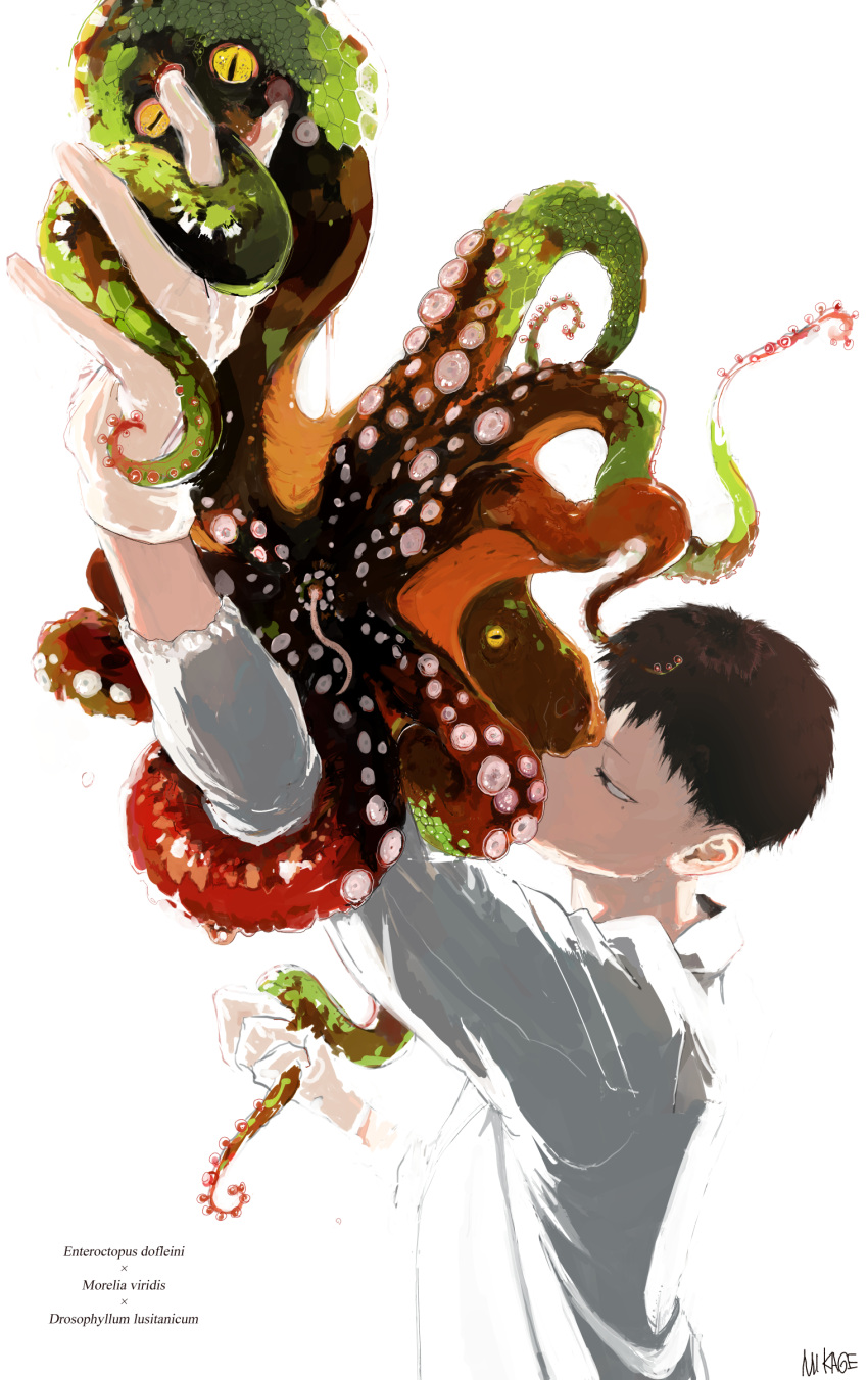 1boy absurdres animal arm_up artist_name bangs black_hair check_copyright collared_shirt copyright_request from_above from_side full_mouth gloves highres holding holding_animal long_sleeves looking_at_animal looking_away male_focus mikage_(yokyour18g) mole mole_under_eye octopus original profile see-through shirt short_hair simple_background tentacles tentacles_on_male upper_body white_background white_gloves white_shirt