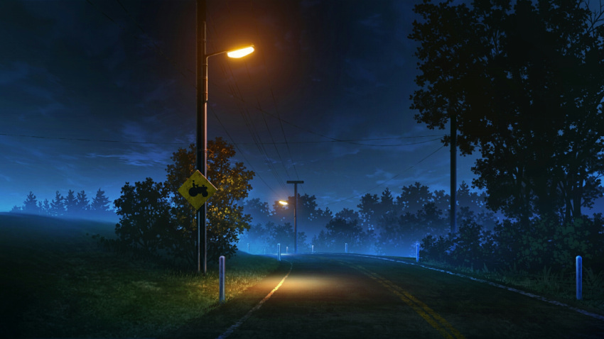 commentary english_commentary grass highres lamppost light night night_sky no_humans original power_lines rkmlady road road_sign rural sign sky tree utility_pole