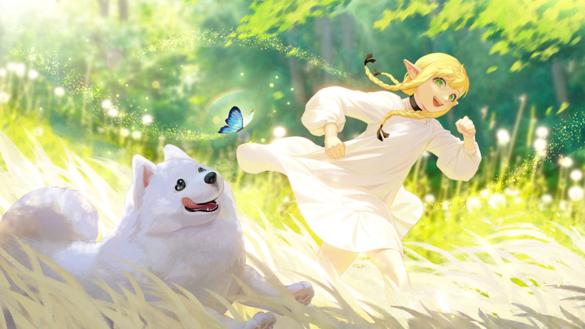 1girl :d absurdres blonde_hair blue_butterfly braid braided_ponytail bug butterfly choker clenched_hands day dog dress dungeon_meshi elf field floating_hair grass green_eyes hair_around_ear hand_up happy highres laios_thorden light_particles long_hair long_sleeves looking_at_viewer marcille motion_blur multiple_braids nature open_mouth outdoors playing pointy_ears puffy_long_sleeves puffy_sleeves rainbow side_braid smile sunlight tongue tongue_out tri_braids white_dress xiehuangbao_bo