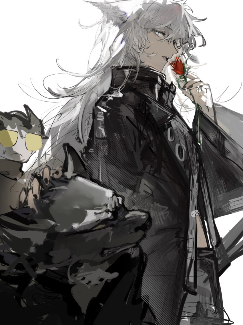 2boys animal_ears arknights bangs black_coat black_nails capone_(arknights) clenched_teeth coat cowboy_shot flower furry furry_male gambino_(arknights) grey_eyes grey_hair headpat highres holding holding_flower lappland_(arknights) long_hair long_sleeves multiple_boys naijiaer nail_polish open_mouth parted_lips red_flower sharp_teeth simple_background sunglasses sweatdrop teeth tulip upper_teeth very_long_hair white_background wide_sleeves wolf_ears yellow-framed_eyewear