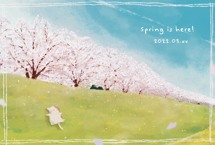 2022 animal cat cherry_blossoms dated day english_text falling_petals grass highres lying meadow no_humans on_back original petals sapico sky spring_(season) tree