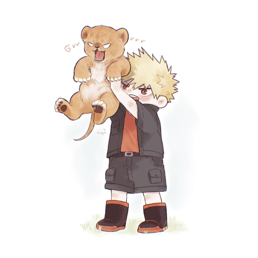 1boy animal aqistory bakugou_katsuki black_footwear black_shirt black_shorts blank_eyes blonde_hair boku_no_hero_academia boots commentary english_commentary full_body grass growling highres holding holding_animal lion lion_cub male_focus open_clothes open_mouth open_shirt orange_shirt pawpads red_eyes shirt short_hair shorts simple_background spiky_hair standing white_background