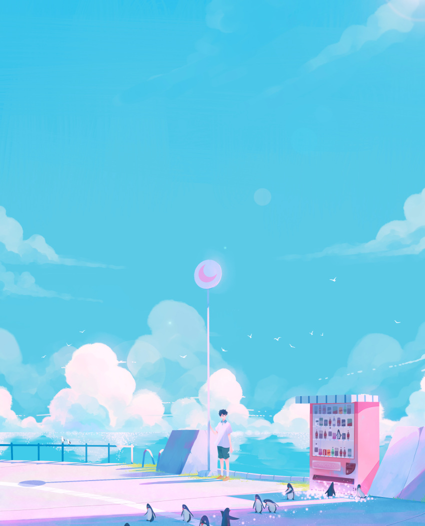 1boy absurdres bird black_hair black_shorts blue_sky character_request clouds highres morncolour outdoors penguin penguin_highway road shadow shirt shoes short_hair short_sleeves shorts sky socks solo vending_machine very_wide_shot white_shirt white_socks yellow_footwear