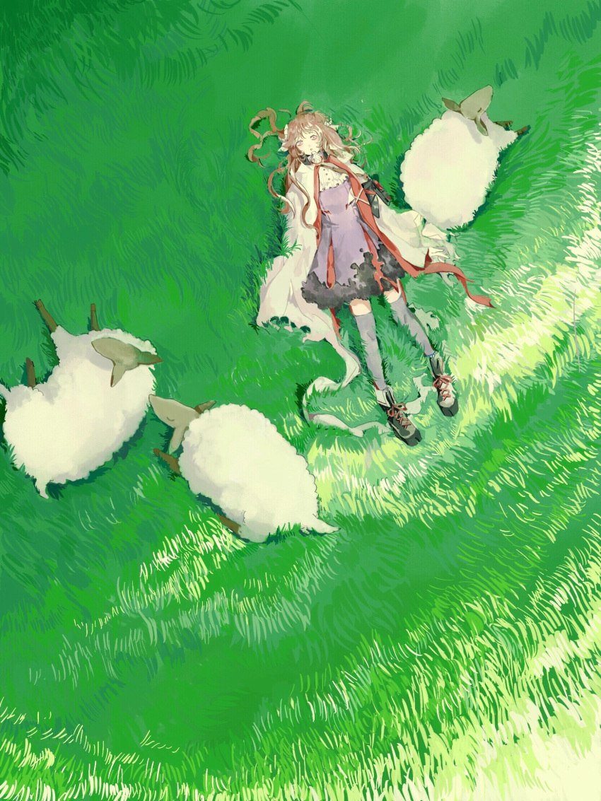 1girl ahoge animal animal_ears arknights bangs black_footwear brown_hair cloak cross-laced_footwear day dress eyjafjalla_(arknights) field from_above grass grazing_(livestock) grey_thighhighs hair_ornament highres horns long_hair looking_at_viewer lying nature on_back on_ground outdoors purple_dress sheep sheep_ears sheep_girl sheep_horns shoes thigh-highs white_cloak ye_(ran_chiiipye) zettai_ryouiki