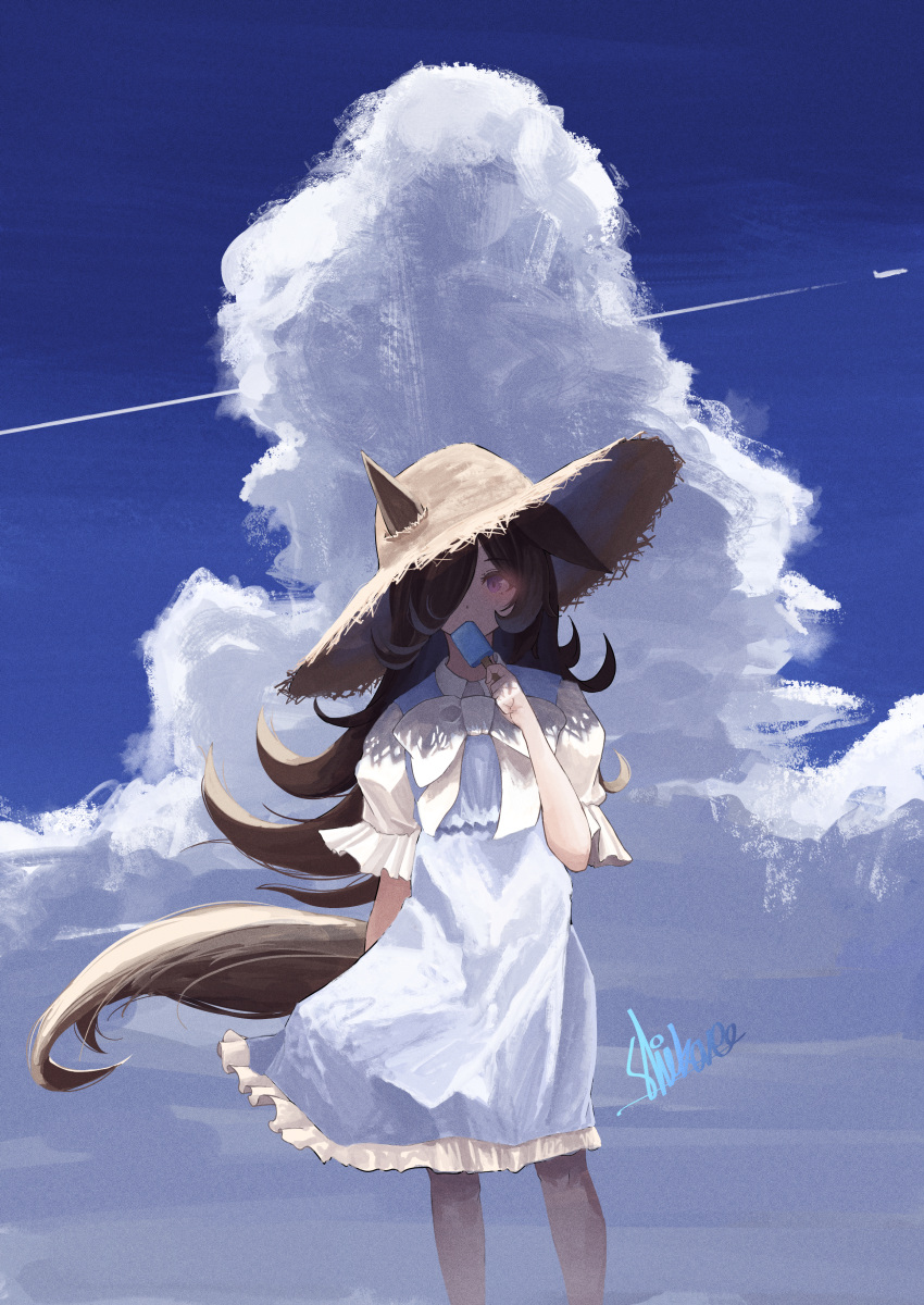1girl absurdres aircraft alternate_costume animal_ears arm_at_side blue_dress bow brown_hair clouds collared_shirt dress ears_through_headwear feet_out_of_frame food hair_over_one_eye hand_up hat highres holding holding_food horse_ears horse_girl horse_tail ikanoshiokara looking_at_viewer outdoors popsicle rice_shower_(umamusume) shirt short_sleeves signature solo standing straw_hat tail umamusume violet_eyes white_bow white_shirt