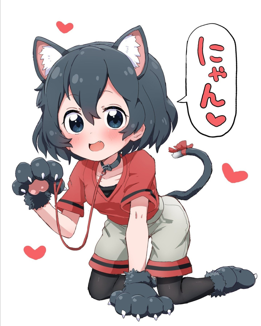 1girl animal_collar animal_ears animal_hands arm_support bangs black_collar black_eyes black_footwear black_gloves black_hair black_pantyhose blush cat_ears cat_tail collar commentary_request gloves grey_shorts heart highres kaban_(kemono_friends) kemono_friends kemonomimi_mode kneeling leaning_forward leash legwear_under_shorts looking_at_viewer nekonyan_(inaba31415) no_headwear open_mouth pantyhose paw_gloves paw_shoes red_shirt ribbon shirt short_hair short_sleeves shorts simple_background smile solo tail tail_ornament tail_ribbon translated wavy_hair white_background