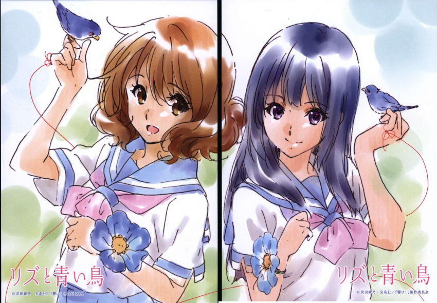 2girls animal arm_up bangs bird blue_sailor_collar blue_skirt bluebird blush brown_eyes brown_hair closed_mouth hand_up hibike!_euphonium highres holding holding_animal holding_bird ikeda_shouko kitauji_high_school_uniform kousaka_reina liz_to_aoi_tori long_hair looking_at_viewer multiple_girls neckerchief official_art oumae_kumiko parted_lips pink_neckerchief pleated_skirt purple_hair sailor_collar scan school_uniform serafuku shirt short_hair short_sleeves skirt smile string string_of_fate uniform violet_eyes white_shirt