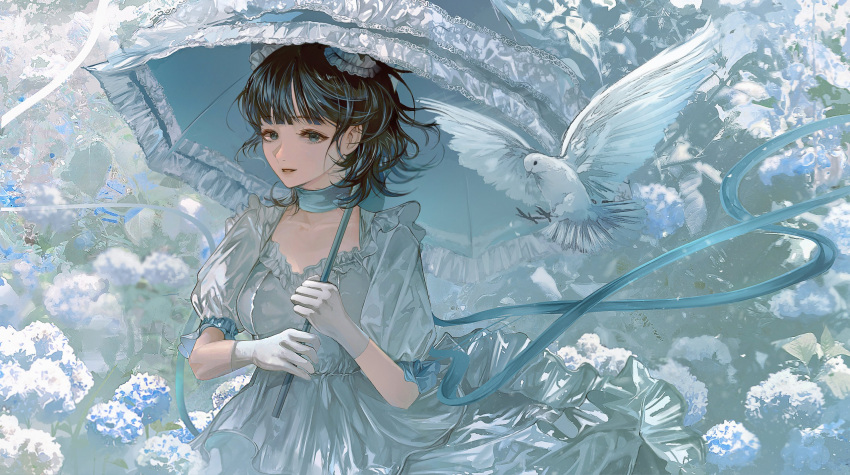 1girl aqua_collar aqua_ribbon aqua_umbrella bangs bird black_hair blue_eyes blue_hair blue_theme blunt_bangs breasts collar collarbone dove dress floating_hair flower flying frilled_dress frilled_hat frilled_umbrella frills gloves hat highres holding holding_umbrella hydrangea looking_at_viewer lower_teeth medium_breasts medium_hair multicolored_hair nat_nim original outdoors parted_lips puffy_sleeves ribbon solo streaked_hair teeth two-tone_hair umbrella upper_body white_bird white_dress white_gloves