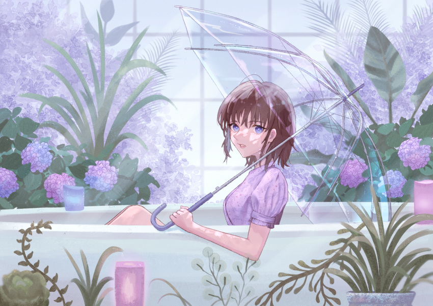 1girl bright_pupils brown_hair crying crying_with_eyes_open dripping flower frills hair_between_eyes holding holding_umbrella indoors light_rays looking_at_viewer original parted_lips patterned patterned_clothing pili_0 plant potted_plant puffy_sleeves purple_flower short_hair sitting solo tears teeth transparent transparent_umbrella umbrella vines violet_eyes wet white_pupils window