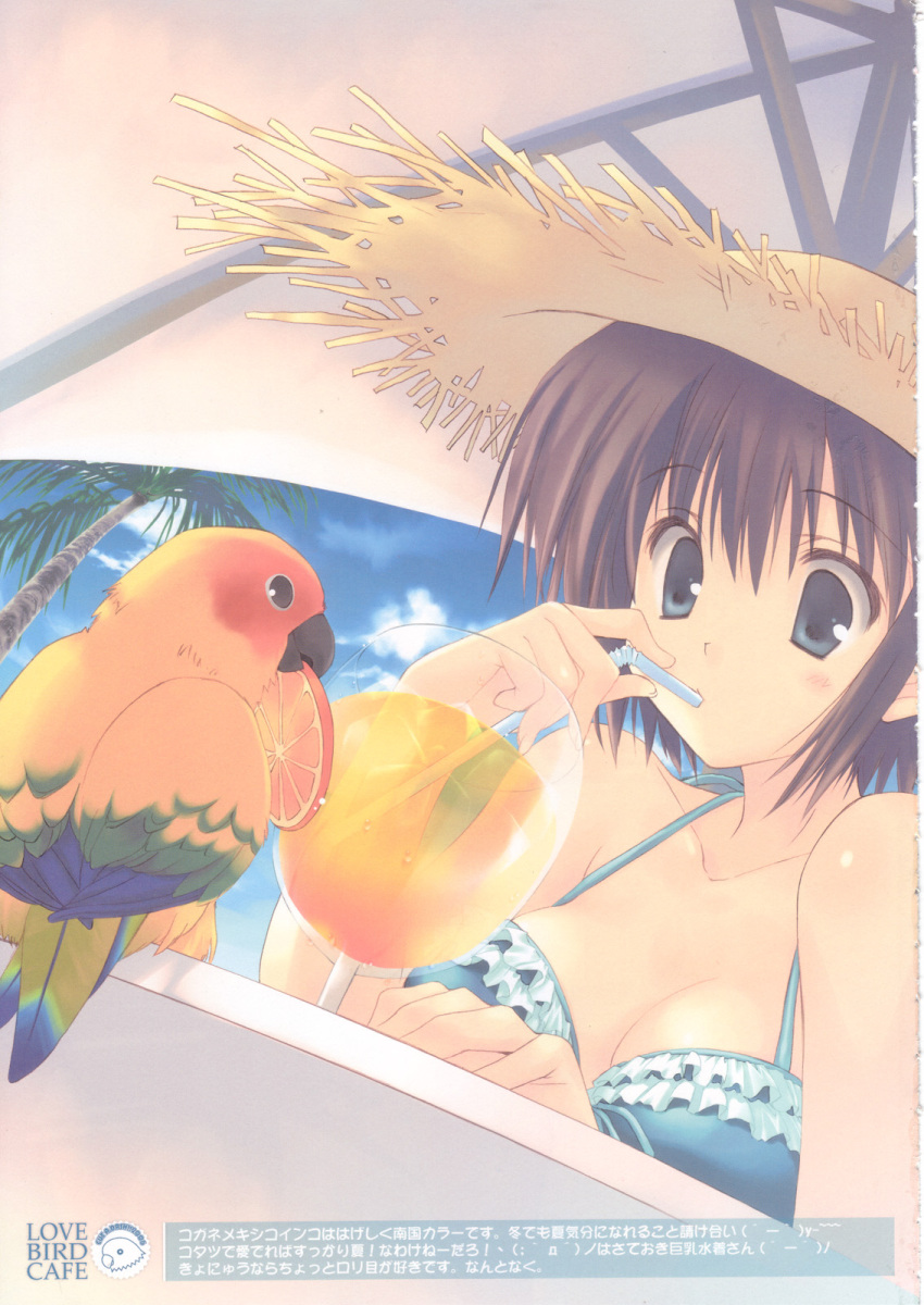 bikini bird breasts cleavage cut_a_dash!! drink hat highres mitsumi_misato parrot straw_hat swimsuit umbrella