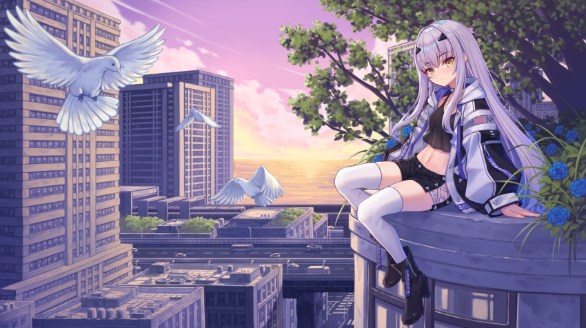 1girl bird black_footwear black_shirt black_shorts cityscape commentary_request crop_top dove fairy_knight_lancelot_(fate) fate/grand_order fate_(series) hair_ornament hairclip highres hoodier long_hair looking_at_viewer navel shirt shorts solo thigh-highs tree white_hair white_thighhighs yellow_eyes zipper