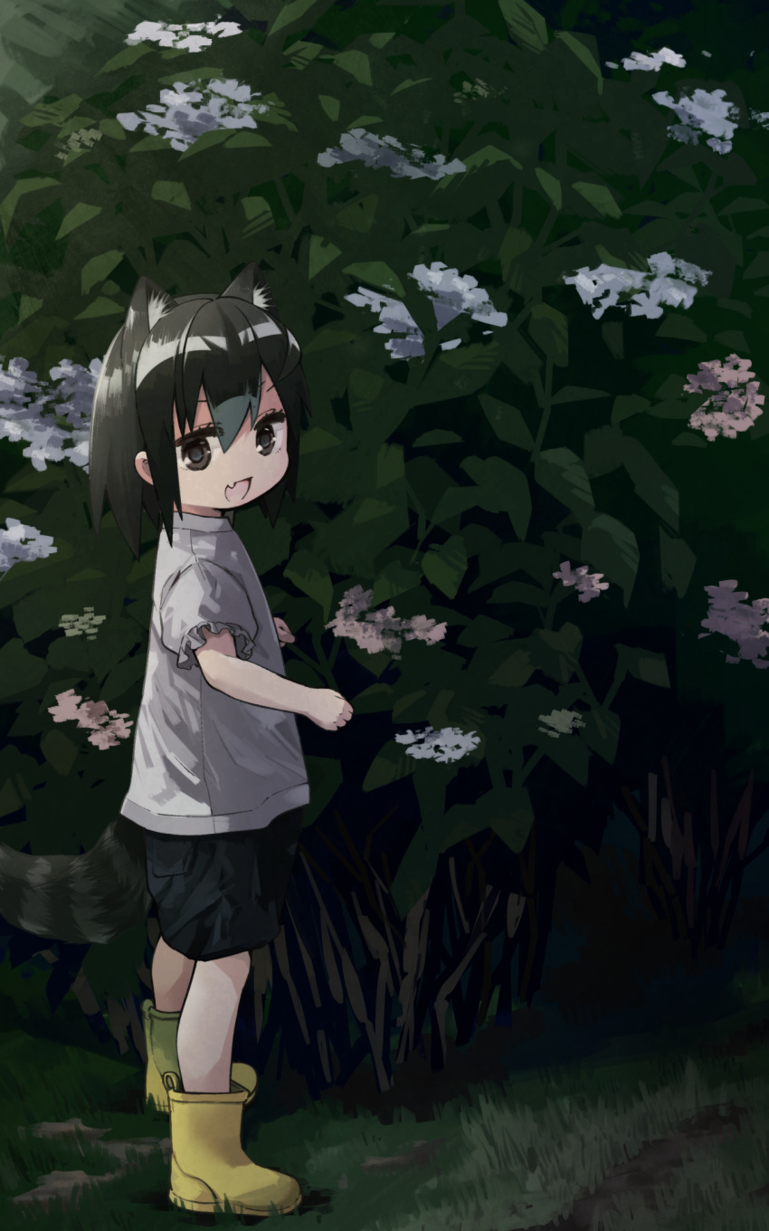 1girl :d alternate_costume animal_ear_fluff animal_ears bangs black_eyes black_hair boots commentary common_raccoon_(kemono_friends) extra_ears fang flower full_body grass hair_between_eyes highres hydrangea kemono_friends looking_at_viewer nanana_(nanana_iz) open_mouth outdoors raccoon_ears raccoon_girl raccoon_tail rubber_boots shirt short_hair short_sleeves skin_fang smile solo tail white_shirt yellow_footwear younger